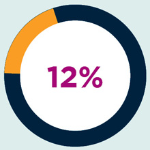 An illustrated pie chart showing the figure 12%