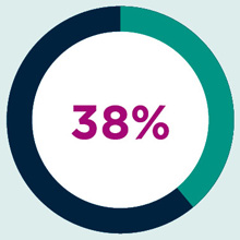 An illustrated pie chart showing the figure 38%